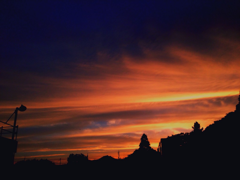 写真 2014-05-28 18 39 48