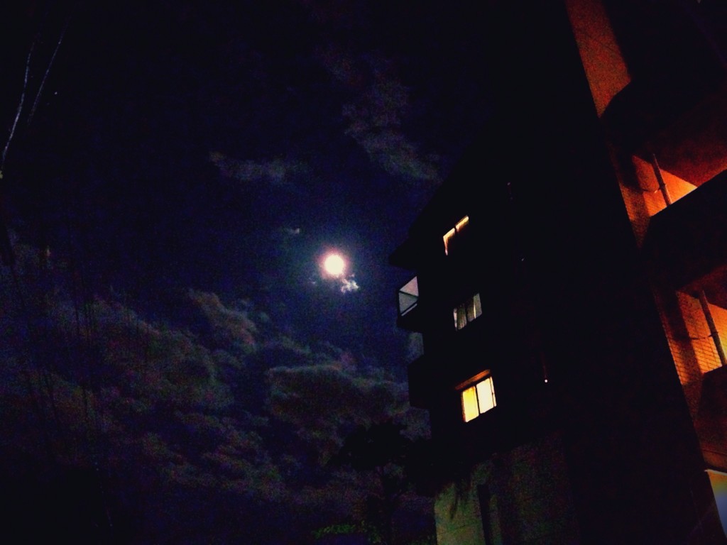 写真 2014-06-14 0 58 46