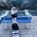 千葉KINGS 29回目LAST