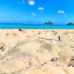 嫌われたり批判されるのは避けられない
