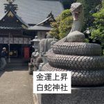 金運上昇?栃木の白蛇神社