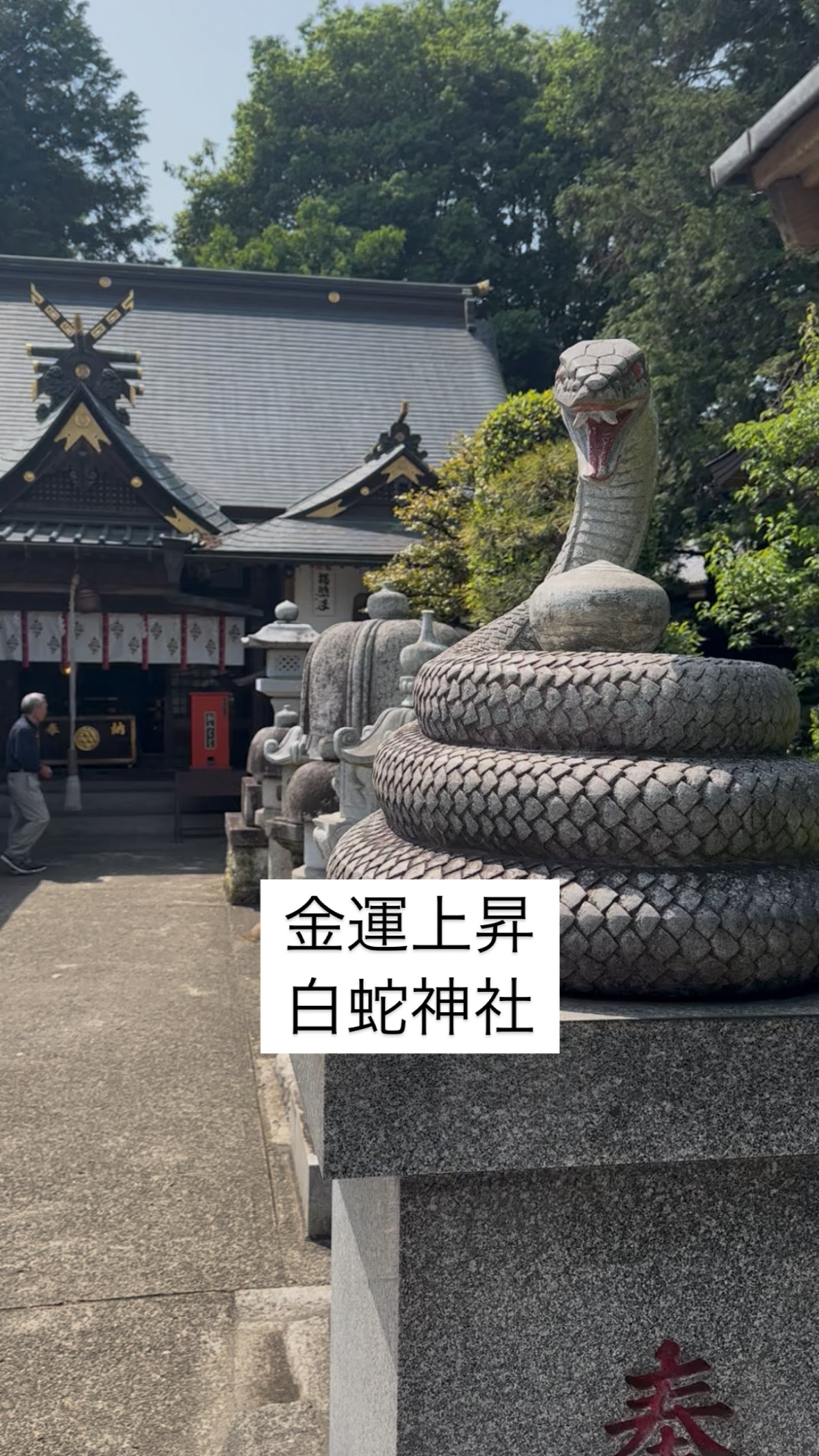 金運上昇?栃木の白蛇神社
