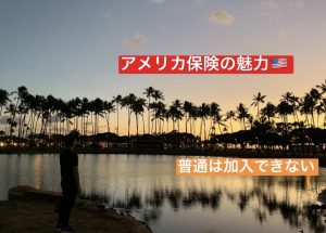 ハワイで加入できるアメリカ保険。まとまったお金を安全に増やしたい人や、3世代に渡って資産を継承したい人に向けて